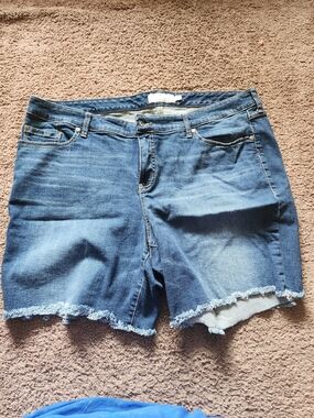 torrid Blue Frayed Hem Denim Shorts